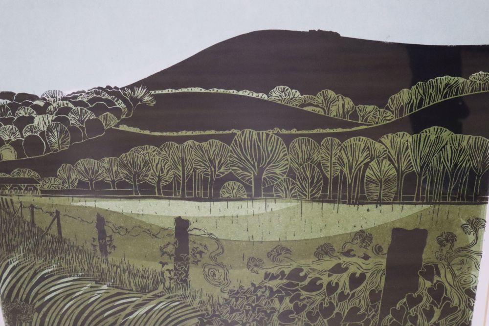 Robert Tavener (1920-2004), artist proof print, Downs and Water Meadows, signed in pencil, 47 x 57cm